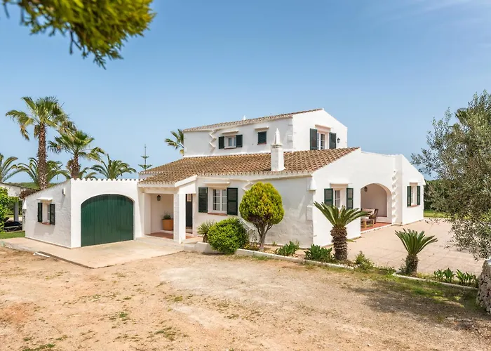 Olivos * Sant Lluís