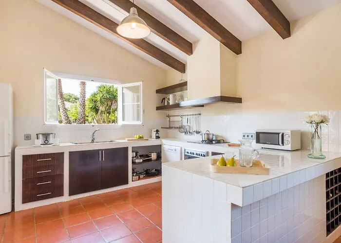 Olivos * Sant Lluís